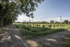 SOGLIA_MONASTERO_IMAGONIRMIA_Frutteto_T099_452_©Marco_Caselli_Nirmal-1024x576